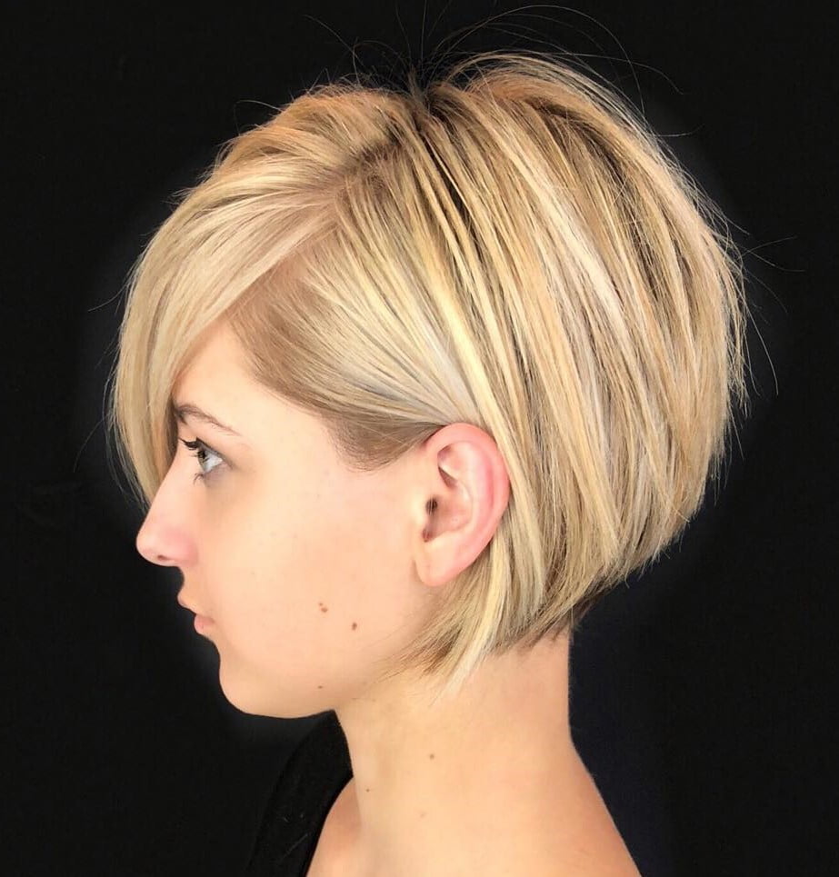 Modern Blonde Pixie Bob